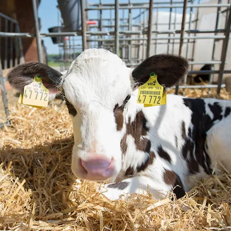 アパート Huxfeld-hof - Landlust